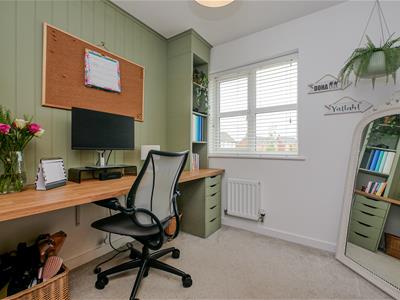 Picture 12
